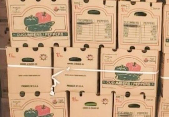 Cucumbers shipped to 14 states recalled over Salmonella concerns