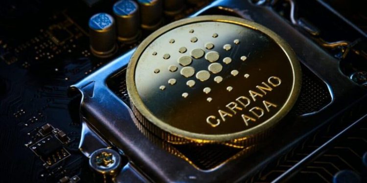 Solana and Cardano: Solana creates a new low below $145.00