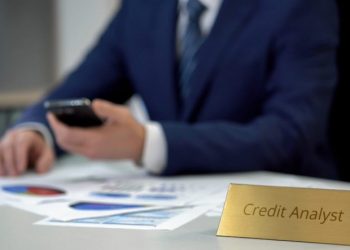Credit Risk Analyst: Key Responsibilities and Skills