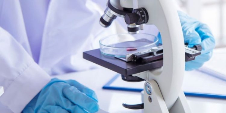 Oncology Stocks: 8 Biggest NASDAQ Companies in 2024