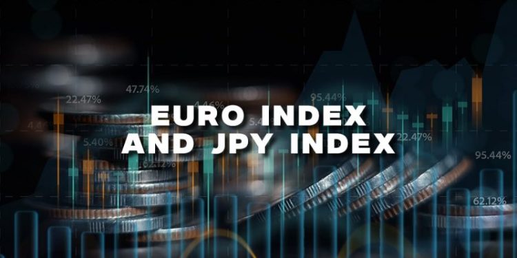 Euro Index and Yen: The Yen stopped its bullish run