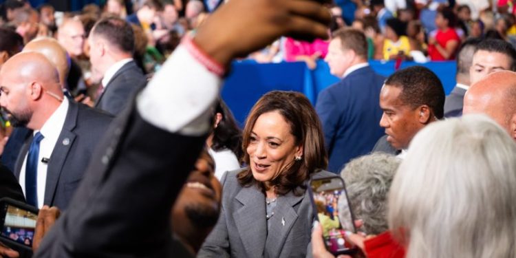 Democrats approve plan to pick their nominee, probably Kamala Harris