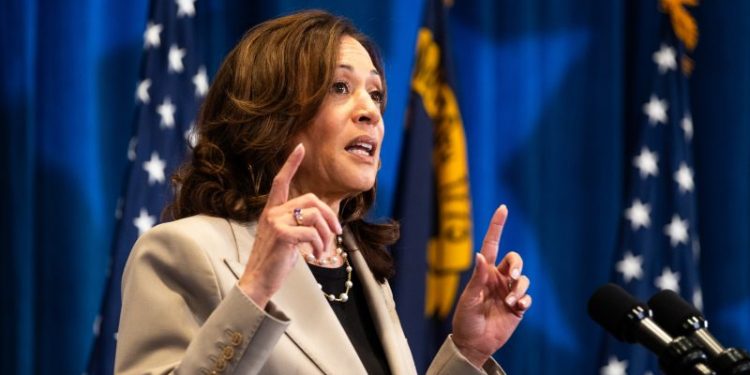 Democrats falling in line behind Harris, ending weeks of rancor about Biden