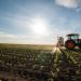 9 Phosphate Stocks to Watch (Updated 2024)