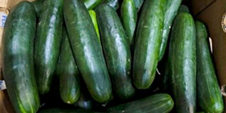 Recalled cucumbers linked to at least 449 illnesses have been pulled from stores, CDC says