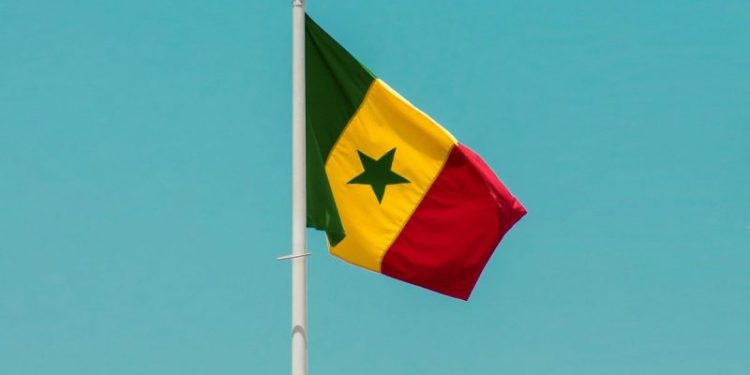 Senegal Halts Mining Along Falémé River to Combat Environmental Degradation