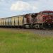 Potash, Oil and Metal Shipments Halted as Canadian Rail Workers Locked Out