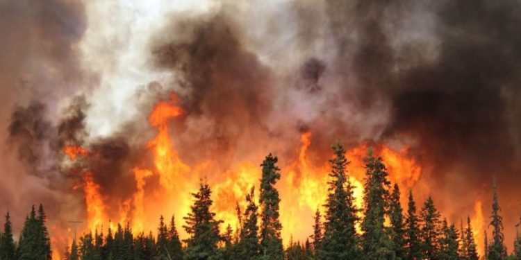 Mining Sector Faces Repeated Disruptions as Wildfires Burn Across Canada