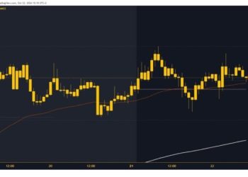 Dogecoin and Shiba Inu: Dogecoin in sideways consolidation