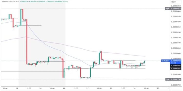 SafeMoon and Litecoin: Support Levels and Targets