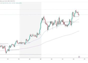 Solana and Cardano: Cardano drops to new weekly low