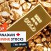 Top 5 Canadian Mining Stocks This Week: Adyton Shines with 61 Percent Gain