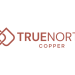 True North Copper Limited (ASX: TNC) – Trading Halt