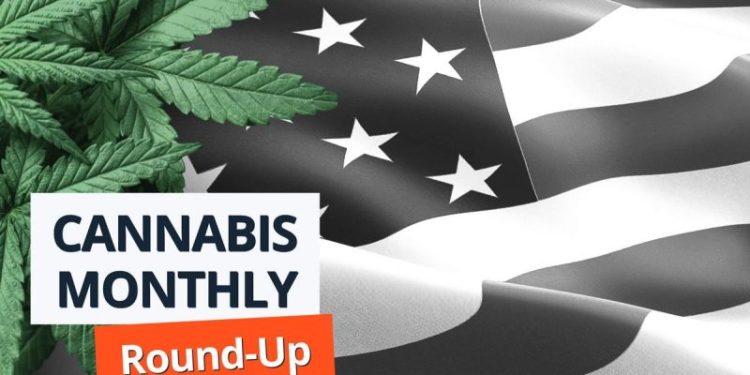 Cannabis Round-Up: Harris  to Push for Federal Legalization, DEA Choosing Witnesses for Rescheduling Trial