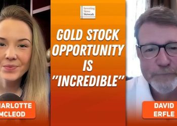 David Erfle: Cash Position Never Larger, Chaos and Volatility Ahead