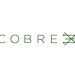 Cobre Secures $25M BHP Investment for Botswana Copper Exploration