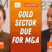 Joe Mazumdar: Gold Stocks Facing Pent-Up M&A as Price Disconnect Continues