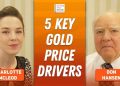 Don Hansen: Gold Bull Run Just Starting, 5 Powerful Price Drivers to Watch