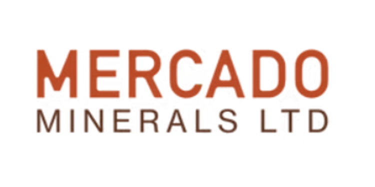 Mercado Minerals Closes Private Placement and Welcomes Vizsla Silver as a Strategic Shareholder